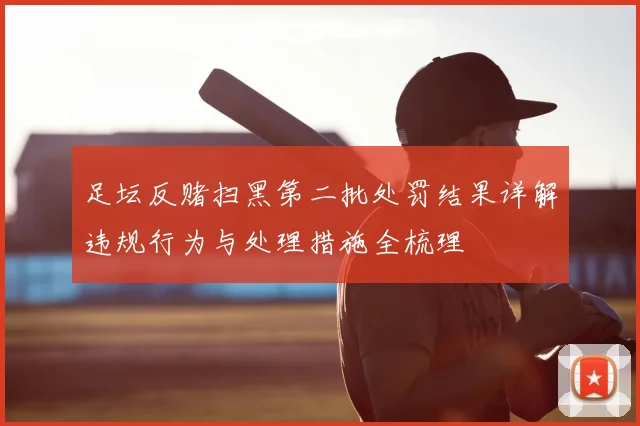 足坛反赌扫黑第二批处罚结果详解违规行为与处理措施全梳理