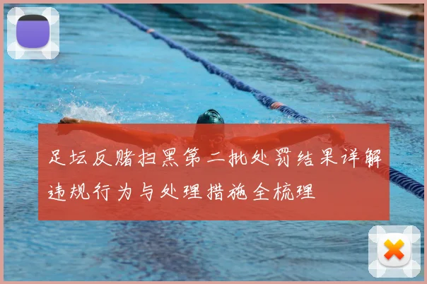 足坛反赌扫黑第二批处罚结果详解违规行为与处理措施全梳理